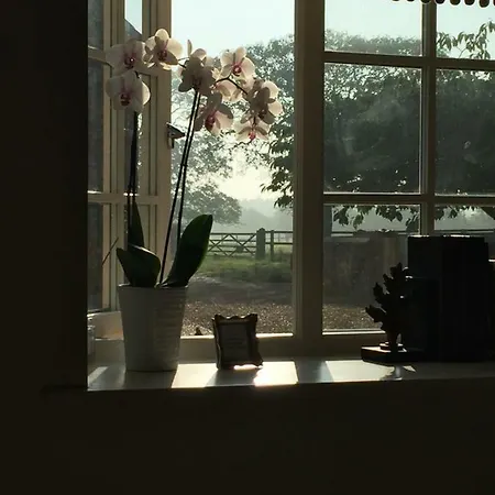 Hill Farm Bed And Breakfast-2